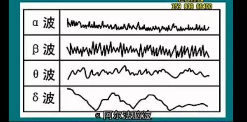 3,低速阅读:眼动 手动 嘴动 身动 脑动 全身动【b贝塔波 三,低速