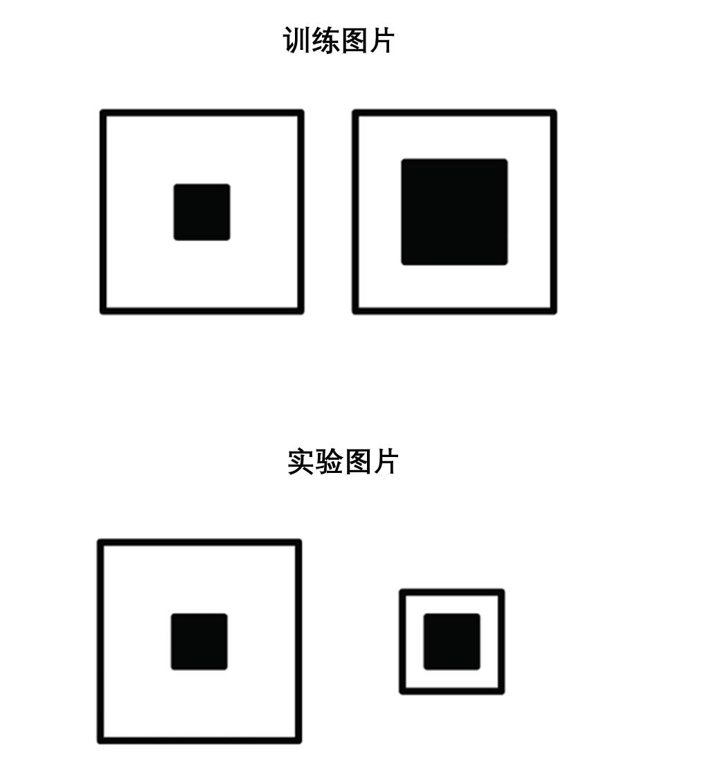 我们更换了图案的大小,试图引发视觉错觉(类似于德勃夫大小错觉)