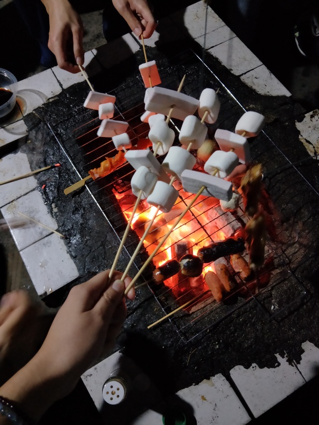 香喷喷的 让人垂涎欲滴 其中最让人难忘的就是烤棉花糖啦 软软甜甜冒