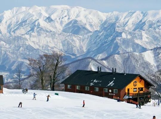 新泻vs北海道丨距离东京77分钟的雪国将成为日本滑雪季最大赢家?