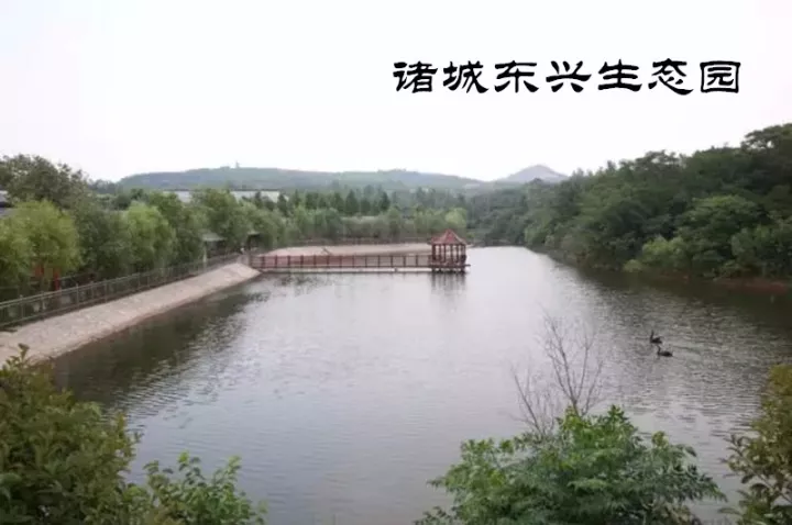 推进乡村旅游 业转型升级