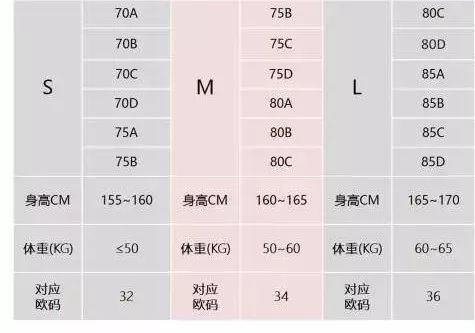 A尺码内衣_内衣尺码对照表(3)