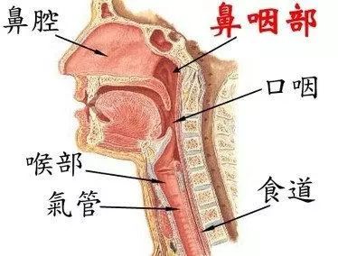 慢性鼻炎会不会导致鼻炎癌?