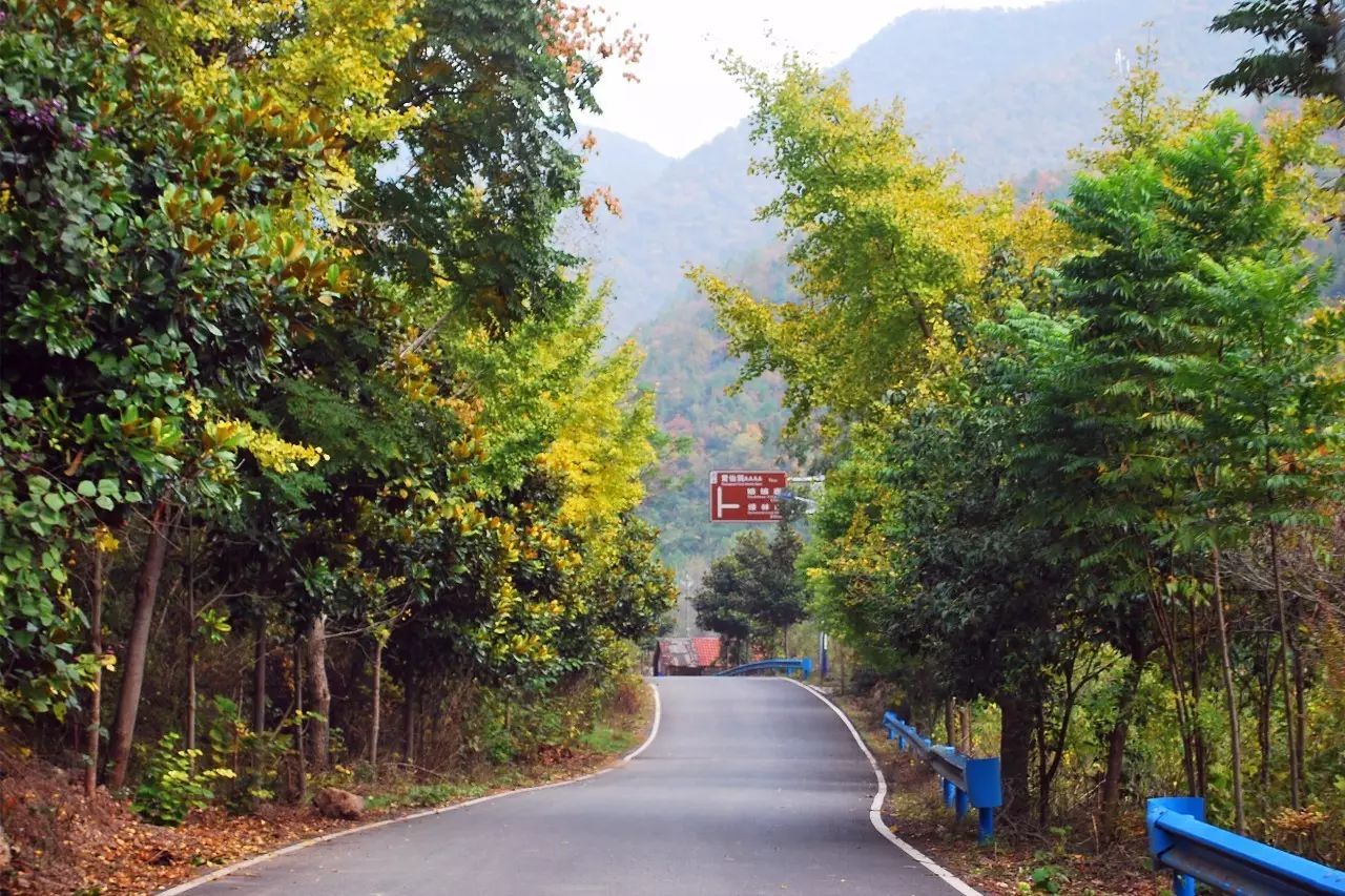 全域旅游之乡村游客店镇马湾村