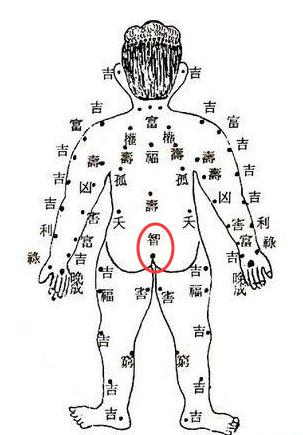 龟尾市人口_人口普查