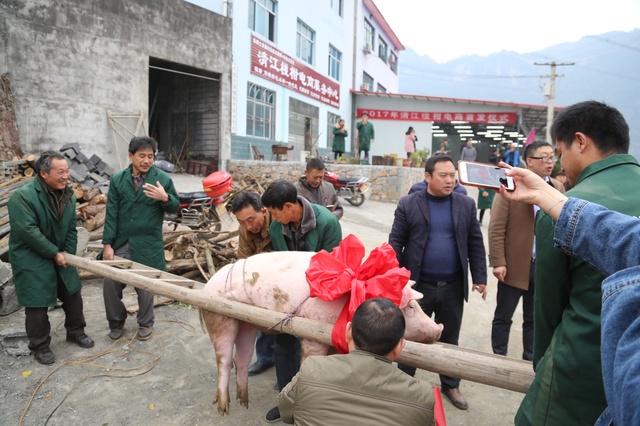 土家山村杀年猪真过瘾蒸格子肉让人看着流口水你想去不