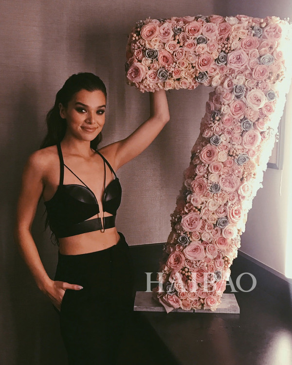 海莉·斯坦菲尔德 (hailee steinfeld) 上传instagram私照 (11月19日