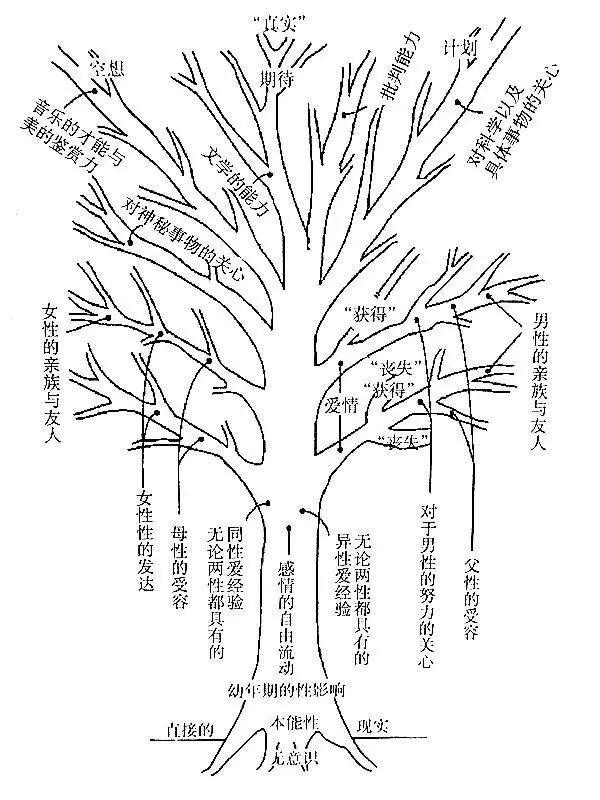 专业|浅谈房树人(十)——树木解析