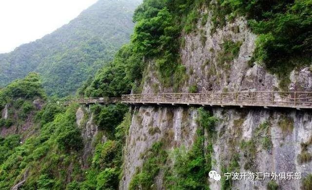 12月2日永嘉百亩向日葵园,永嘉小若岩景区神秘的1730