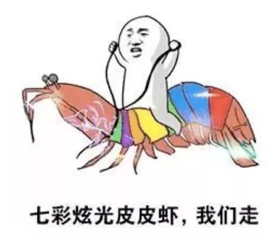 皮皮虾我们走