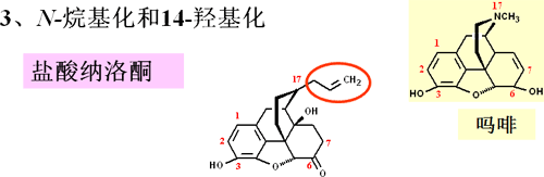 药物化学丨镇痛药