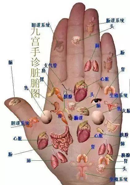 手人口手的手_上中下人口手(2)