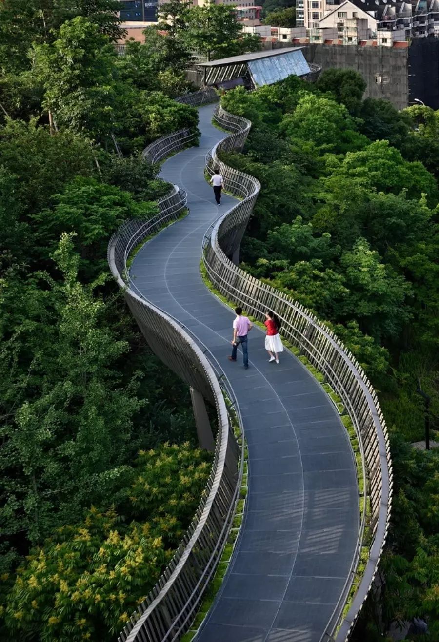 金牛山森林步道,中国钢架悬空栈道的先河