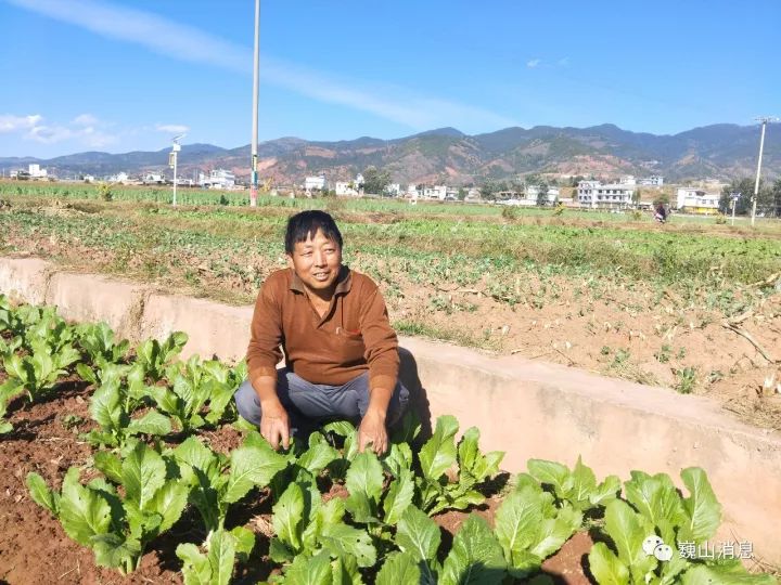 "提起在村里带头坟迁的事,巍山县庙街镇下南庄村民施应华十