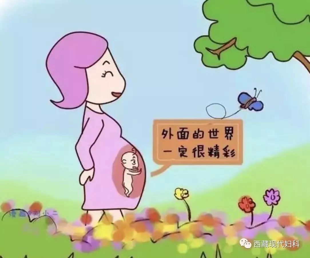 偷窥| 胎宝宝在妈妈肚子里的小资生活