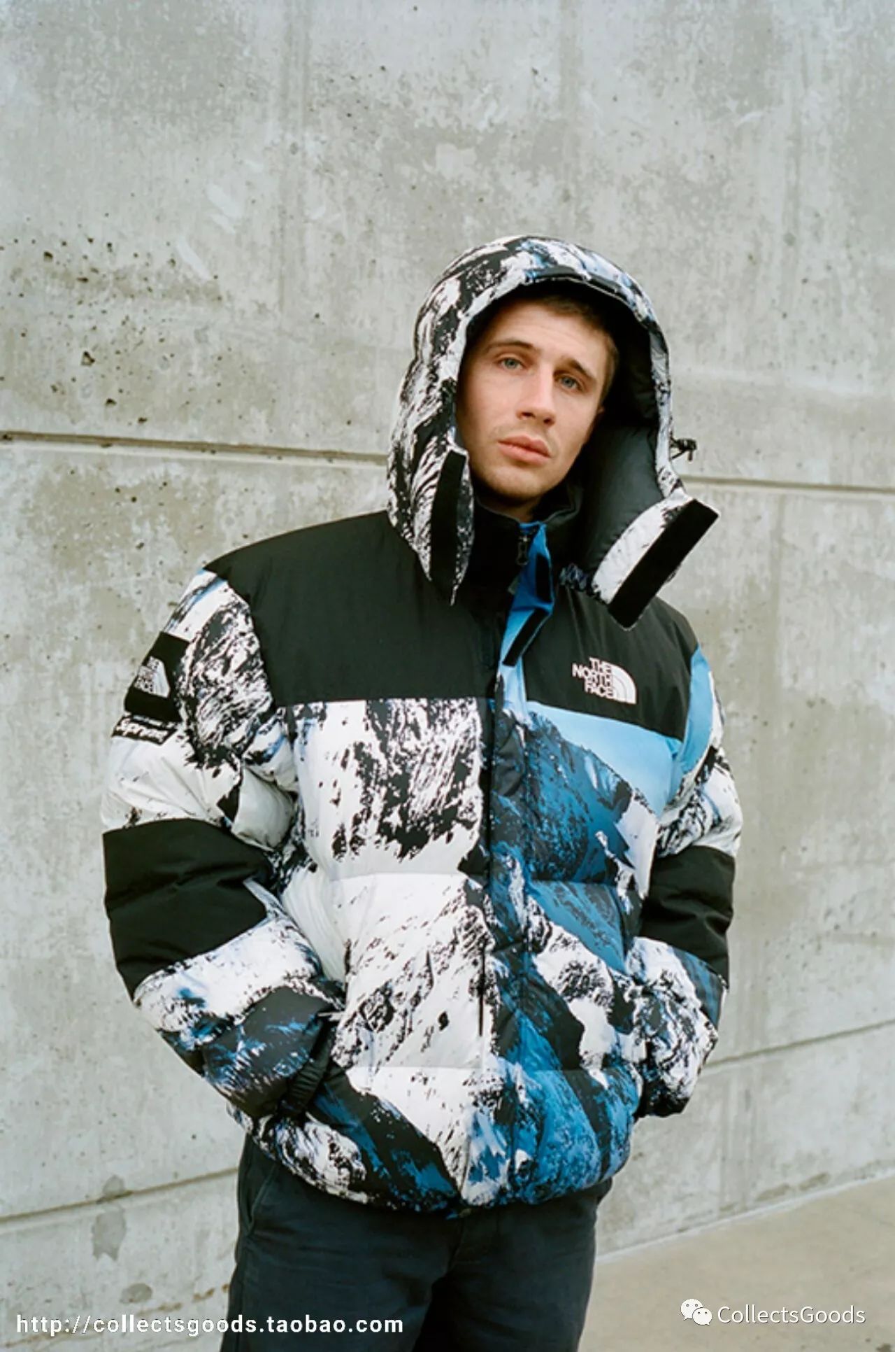 supreme x the north face 2017