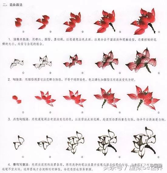 国画-荷花的绘画技法(图3) 三,中国国画荷叶的绘画技法 1,没骨画法 (1