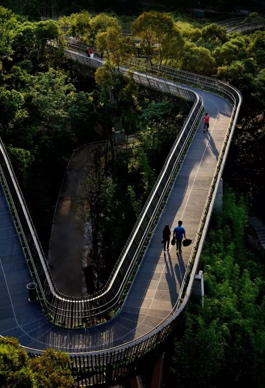 金牛山森林步道,中国钢架悬空栈道的先河