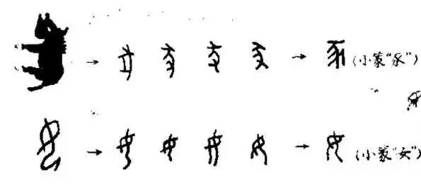 疑问 因为甲骨文发展成汉字,才使中华文明发展至今