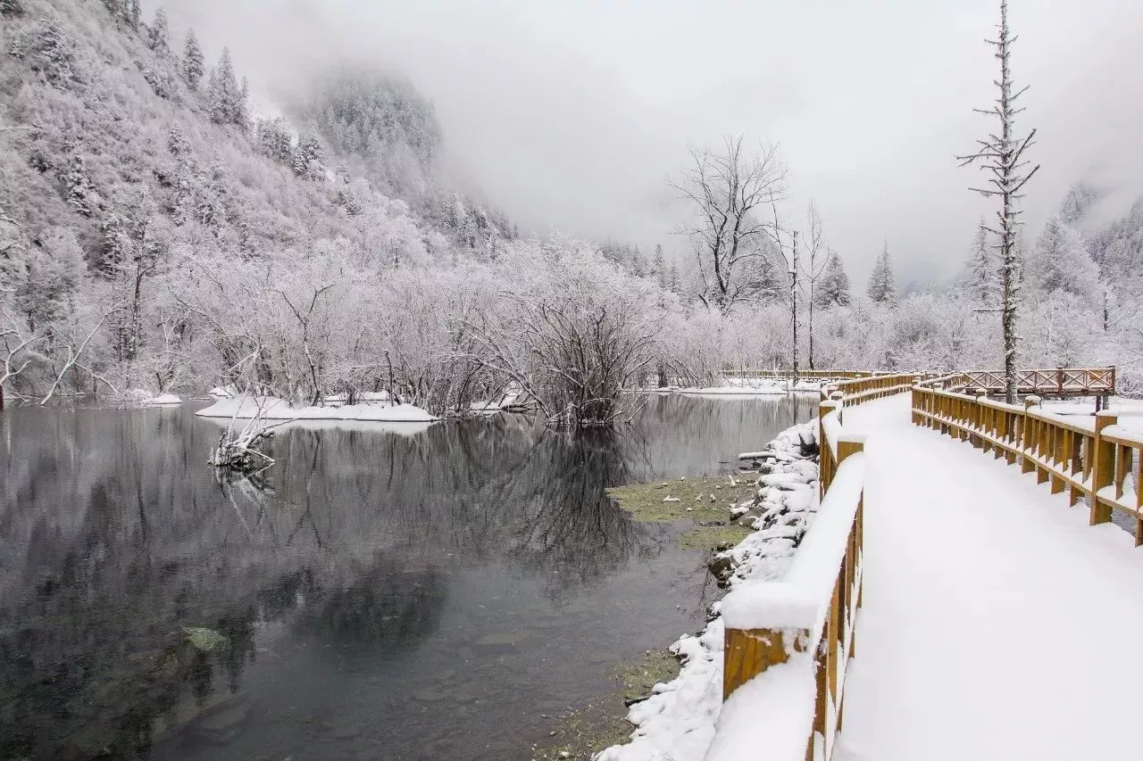 重庆十二月出发,看雪景泡温泉,冬天没理由不去嘞点!