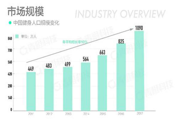 私人教练PK健身APP到底该如BOB半岛何选？健身入坑须知在此奉上(图1)