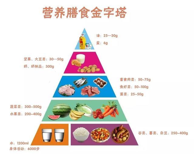 "营养膳食金字塔"由美国农业部(usda)率先提出,于1992年正式发布在