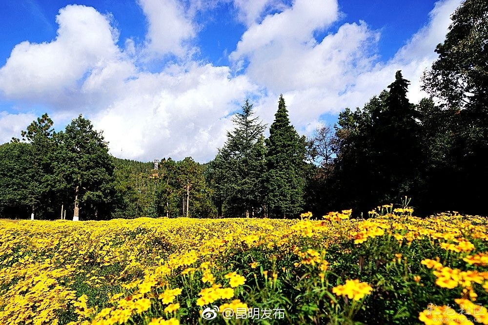 郊野公园摄影:秋月这个地方就位于昆明市西山区团结镇棋盘山脚,距筇竹