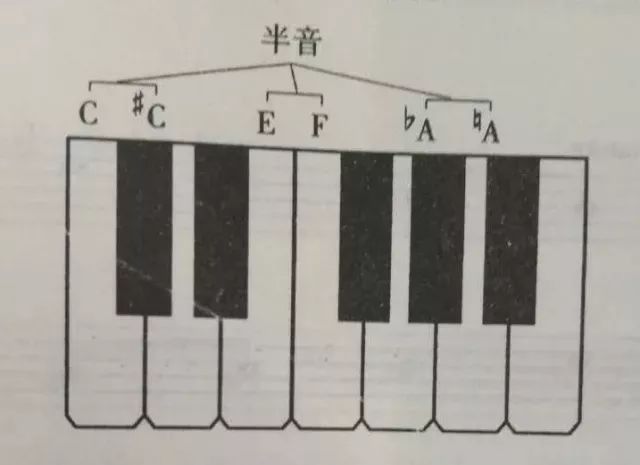 我们从钢琴上的中央c开始,按顺序弹奏7个白健一直到高8度的c音,这样就