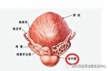 而前列腺炎是常见的男科疾病之一,发病率越来越高,男性应该引起警惕.