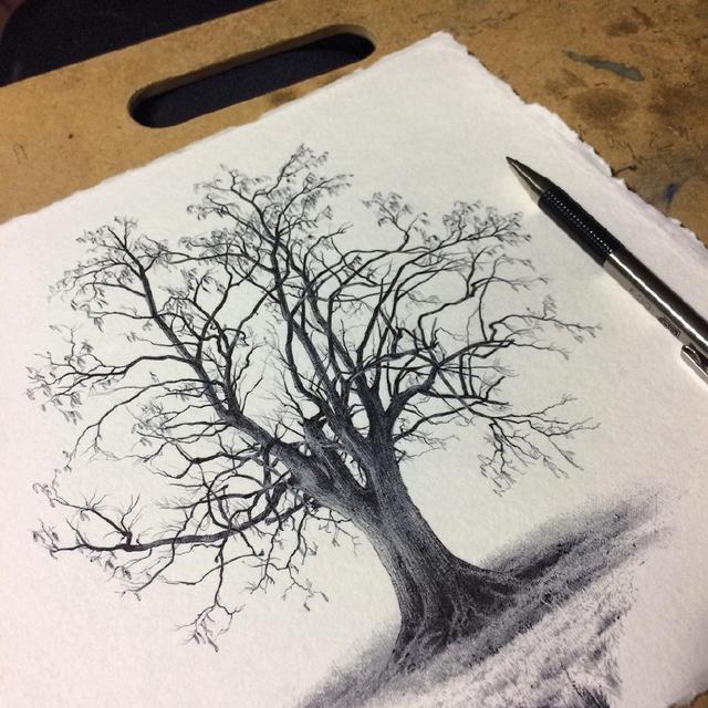 写实素描,一棵树的创作,就知道画者的功底