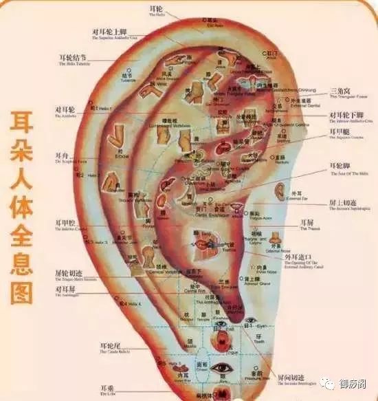 耳朵揉到痛点可能是疾病征兆(附耳朵按摩方法)