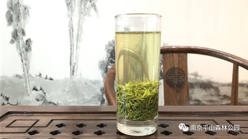 华平牌平山雨花茶上央视啦