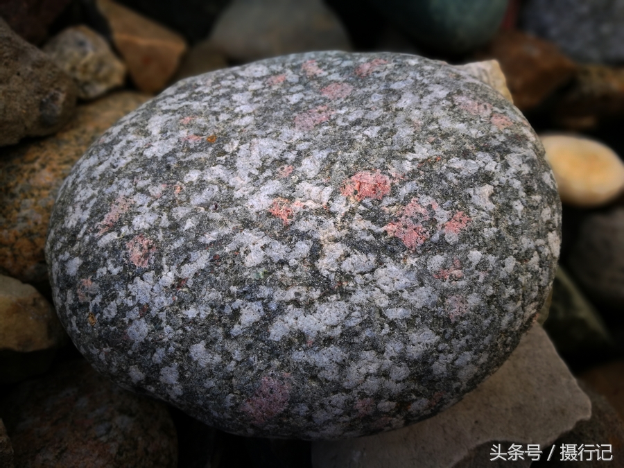 长江边这些非常漂亮的石头可否称得上奇石有人专门在这里捡