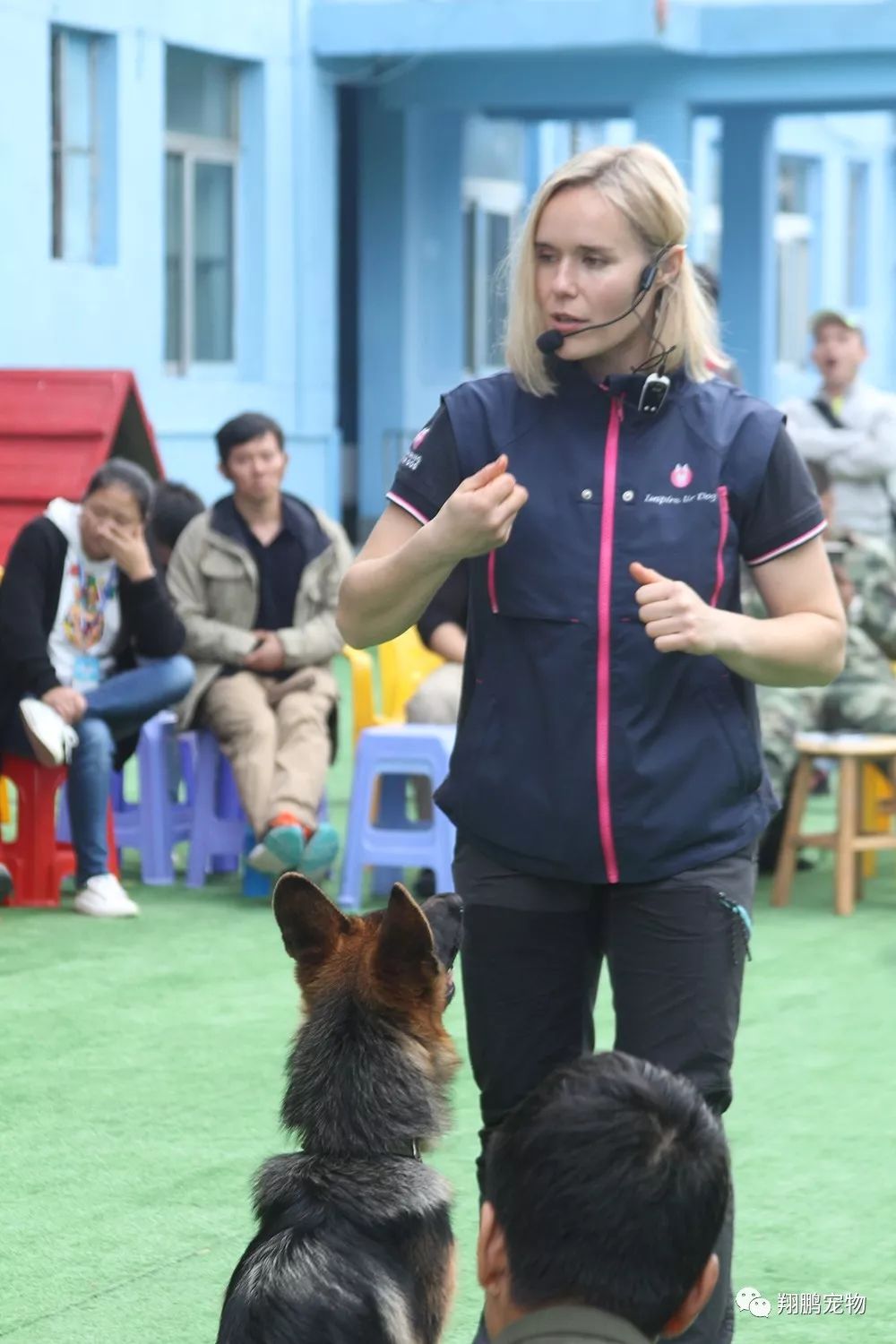 现在报名即可赠送两位世界级的训犬大师(美娅和李大胜)培训课程各一期