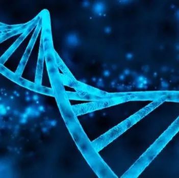 人造生命人造生命:现在,科学家们已经实现了用计算机设计dna,由此