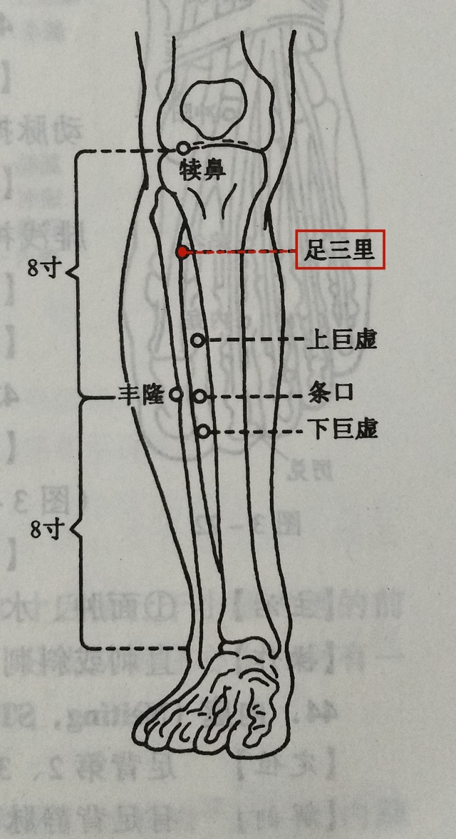 关元穴