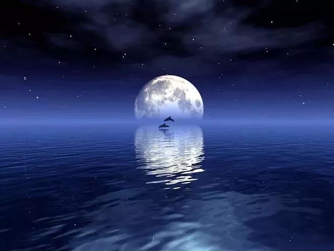 月光跑月圆之夜与您相约
