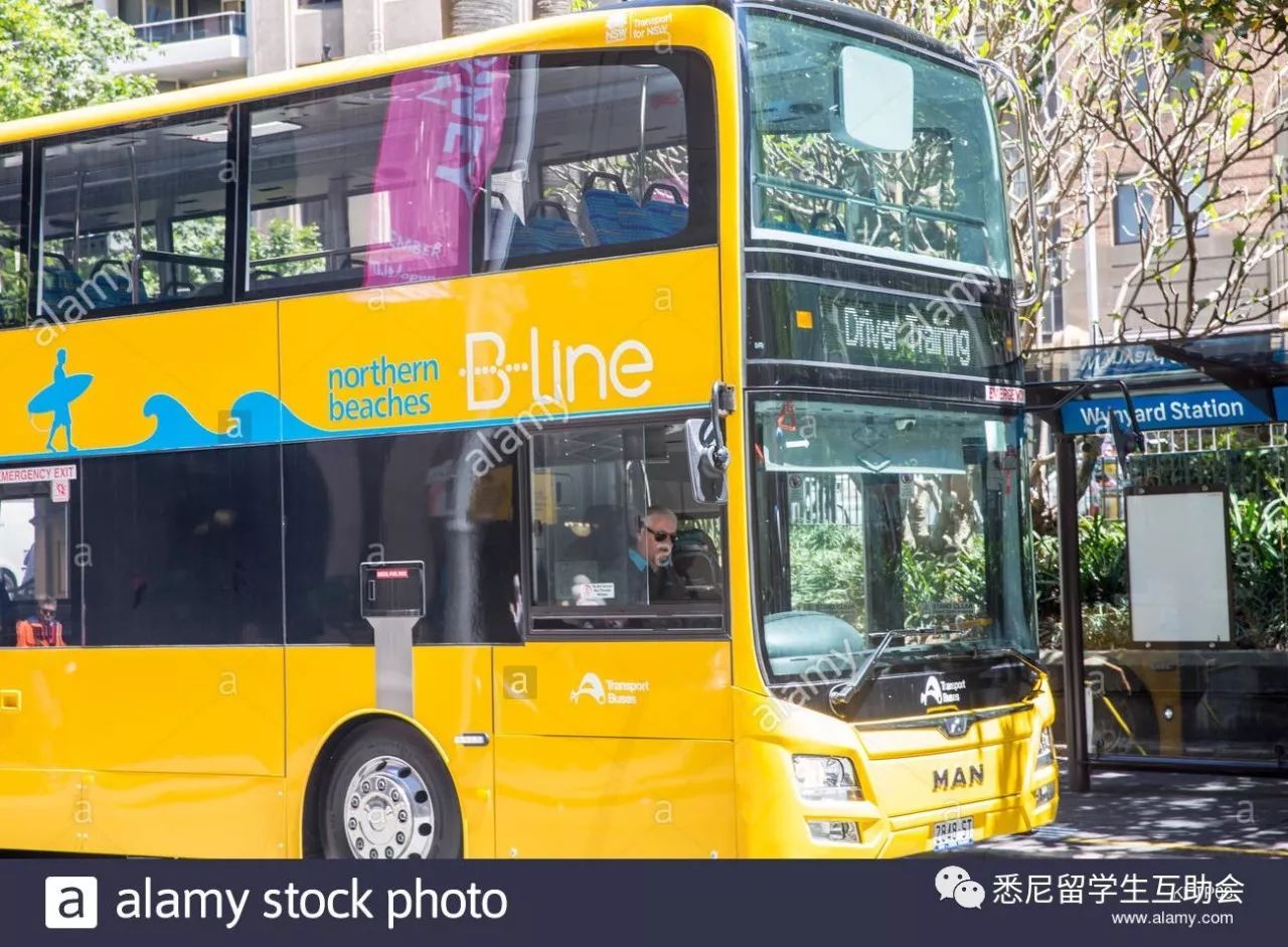 悉尼双层巴士bline正式通车了