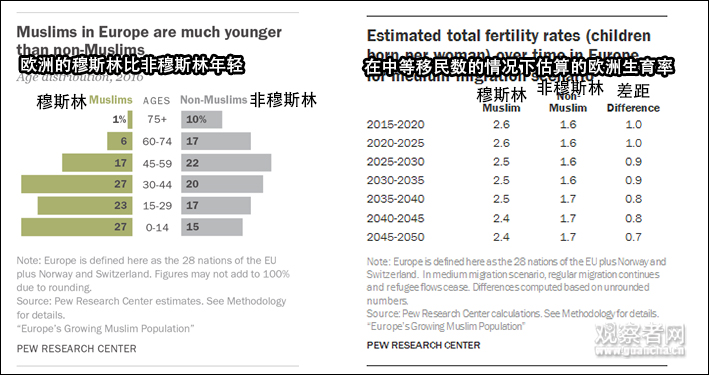 分年龄别生育率人口普查_人口普查图片