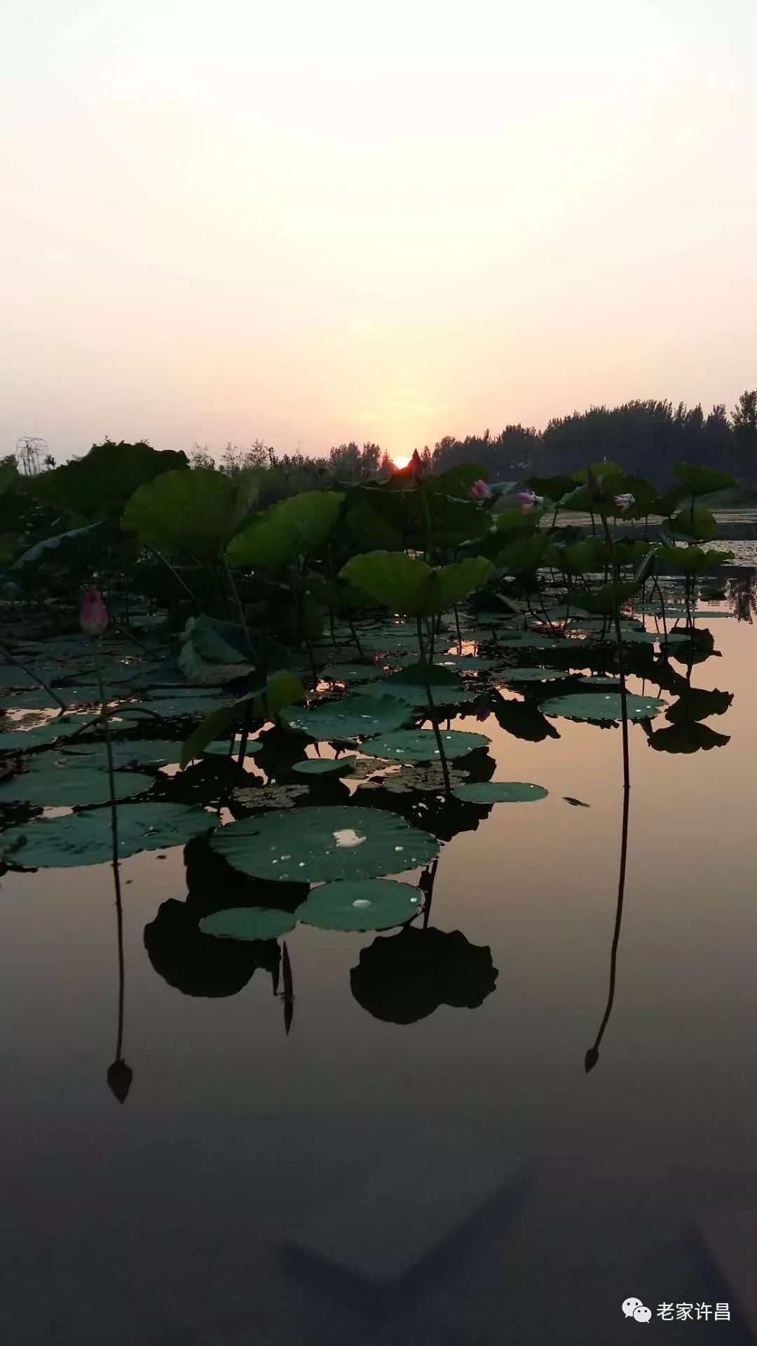 河南此处乃二龙戏珠的风水宝地肖中献