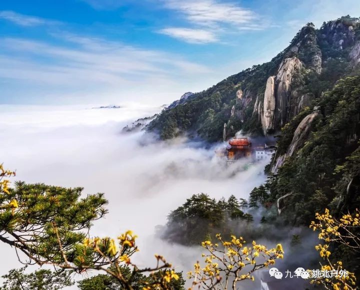 九华山风景区 九华山的初冬,属于一片枫林,一座寺庙.