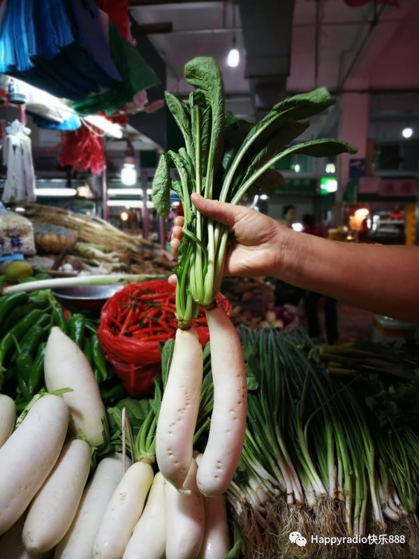 中山美食游 |【美食有煮意】白花番薯,耙齿萝卜上市啦