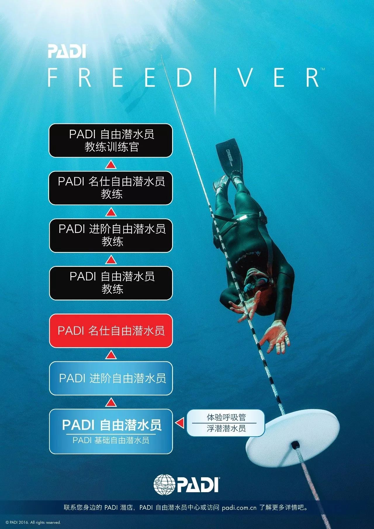 自由潜教练-安潜diver anpadi自由潜水教练padi水肺潜水教练efr