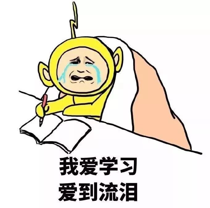 【教师证笔试】幼儿园《保教知识与能力》模块分析