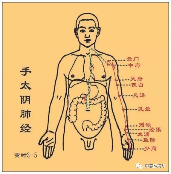 人体十二经络的当令时间和养生事项