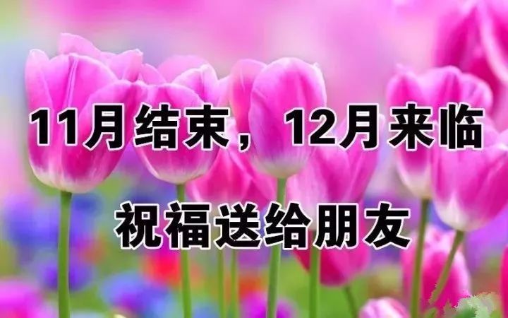 12月的第一天,问声好!美美美实在太美了,快打开看看!