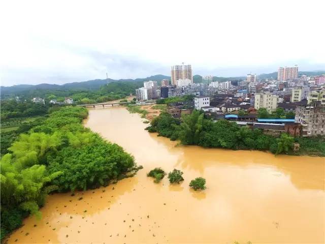 化州平定东门被曝填河造地,群众聚集讨说法