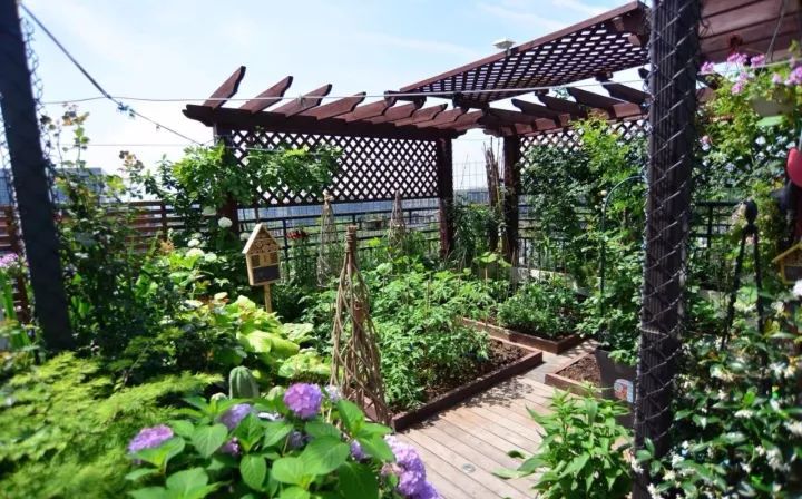 她和5岁女儿仅用1年,打造100㎡露台花园,惊讶的是,这一切只是为了优雅