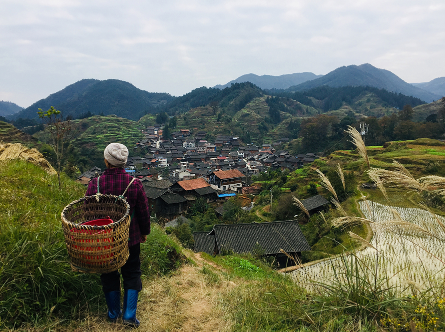 老农严选:精准扶贫走进贵州偏远山区岑湖村