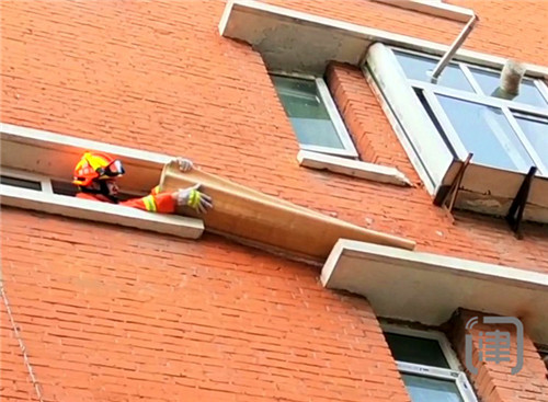 喵星人爬上三楼窗檐下不来 消防员出手解救